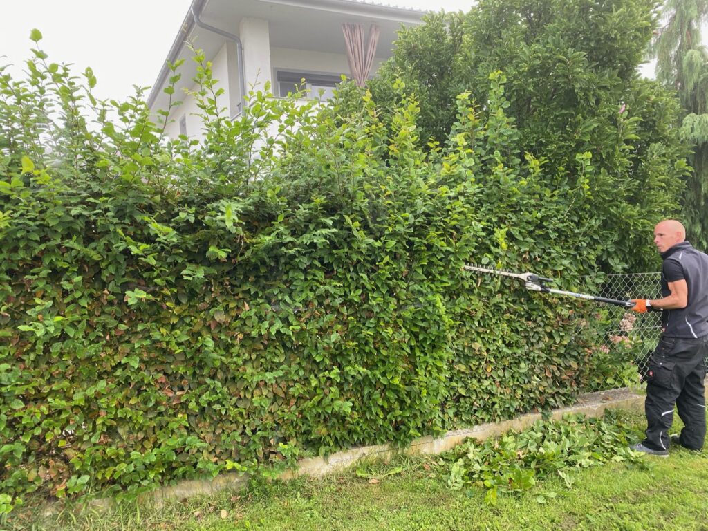 Before